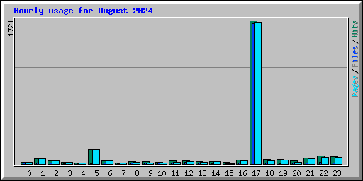 Hourly usage for August 2024