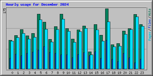 Hourly usage for December 2024