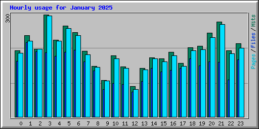 Hourly usage for January 2025