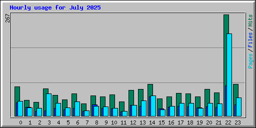 Hourly usage for July 2025