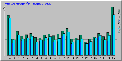 Hourly usage for August 2025