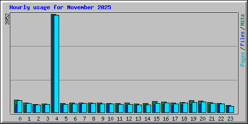 Hourly usage for November 2025