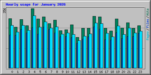 Hourly usage for January 2026
