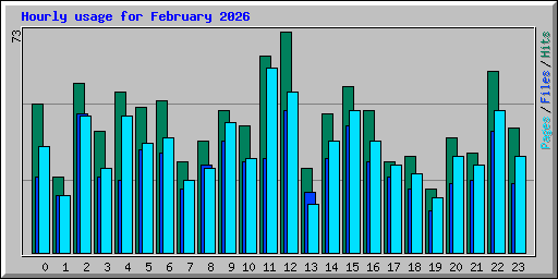 Hourly usage for February 2026